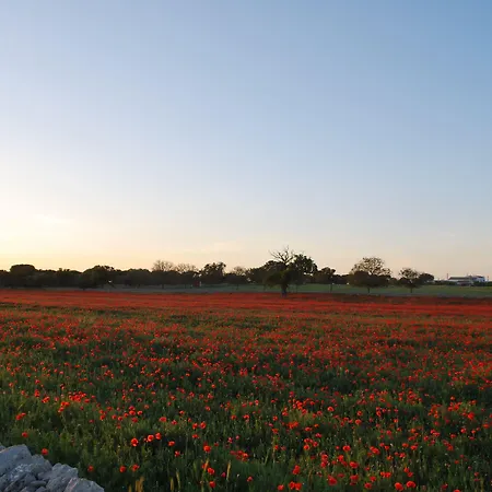 ホテル ドナテッロ アルベロベッロ