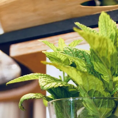 ドナテッロ アルベロベッロ