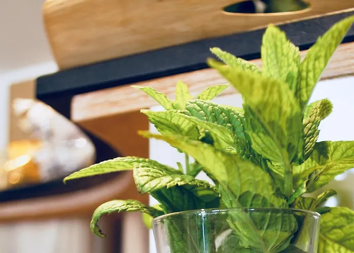 Donatello Alberobello